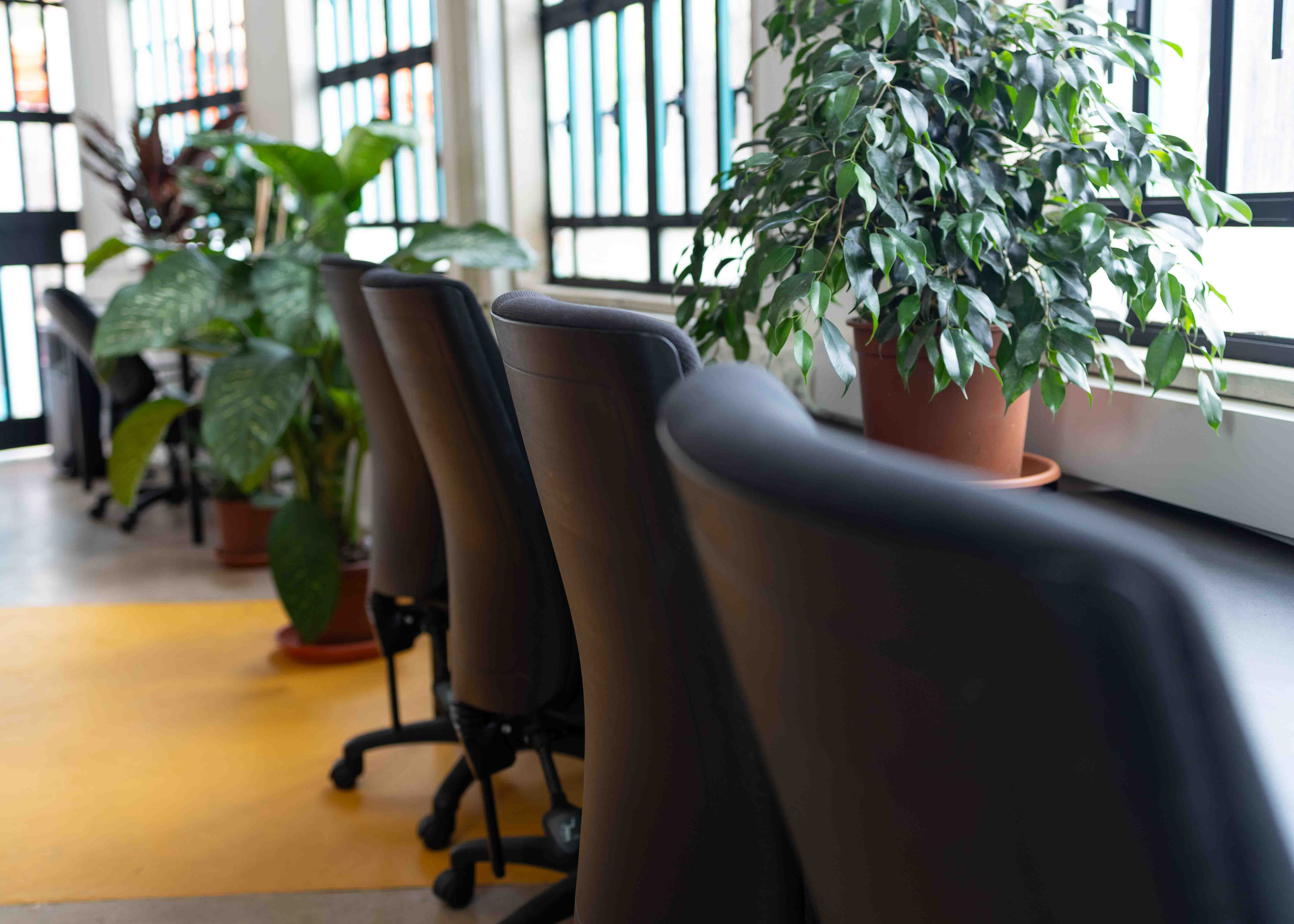 Hot Desk (Open Space)